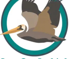 Save Our Seabirds, Sarasota, Florida seeks a Chief Executive Officer