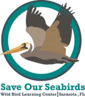 Save Our Seabirds, Sarasota, Florida seeks a Chief Executive Officer