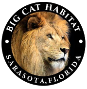 Big Cat Habitat – Director of Development